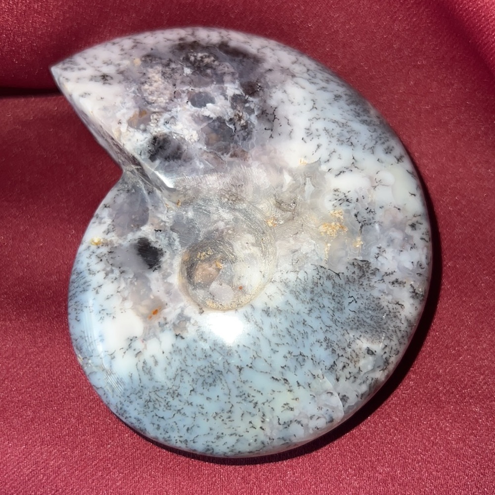 Ammonite Carving